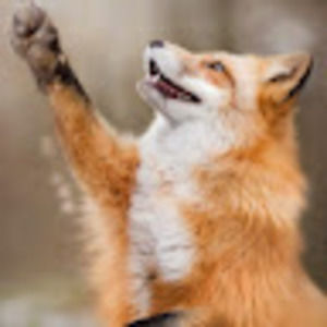 Meet your Posher, Kryssa